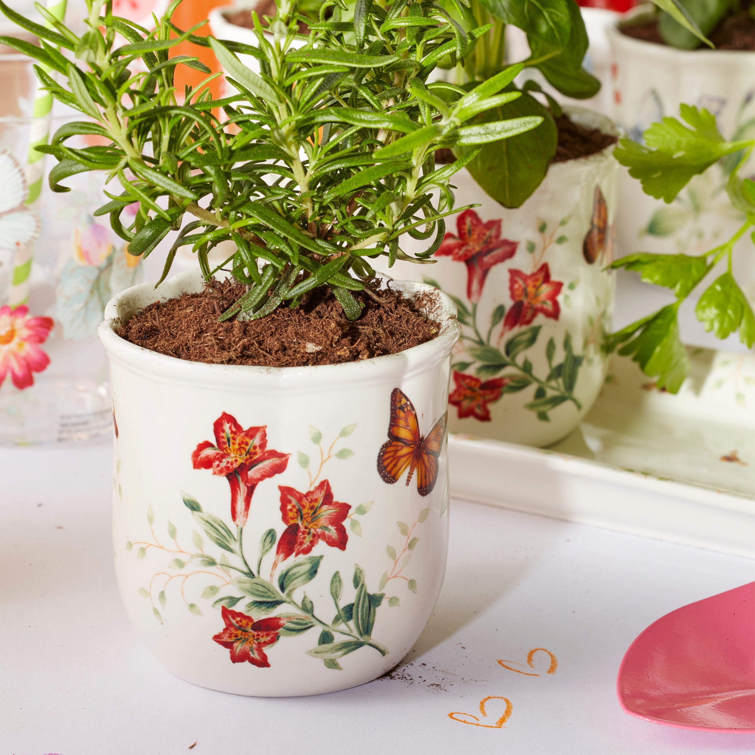 Butterfly Meadow 3 Piece Herb Pots & Tray Set - Image 8