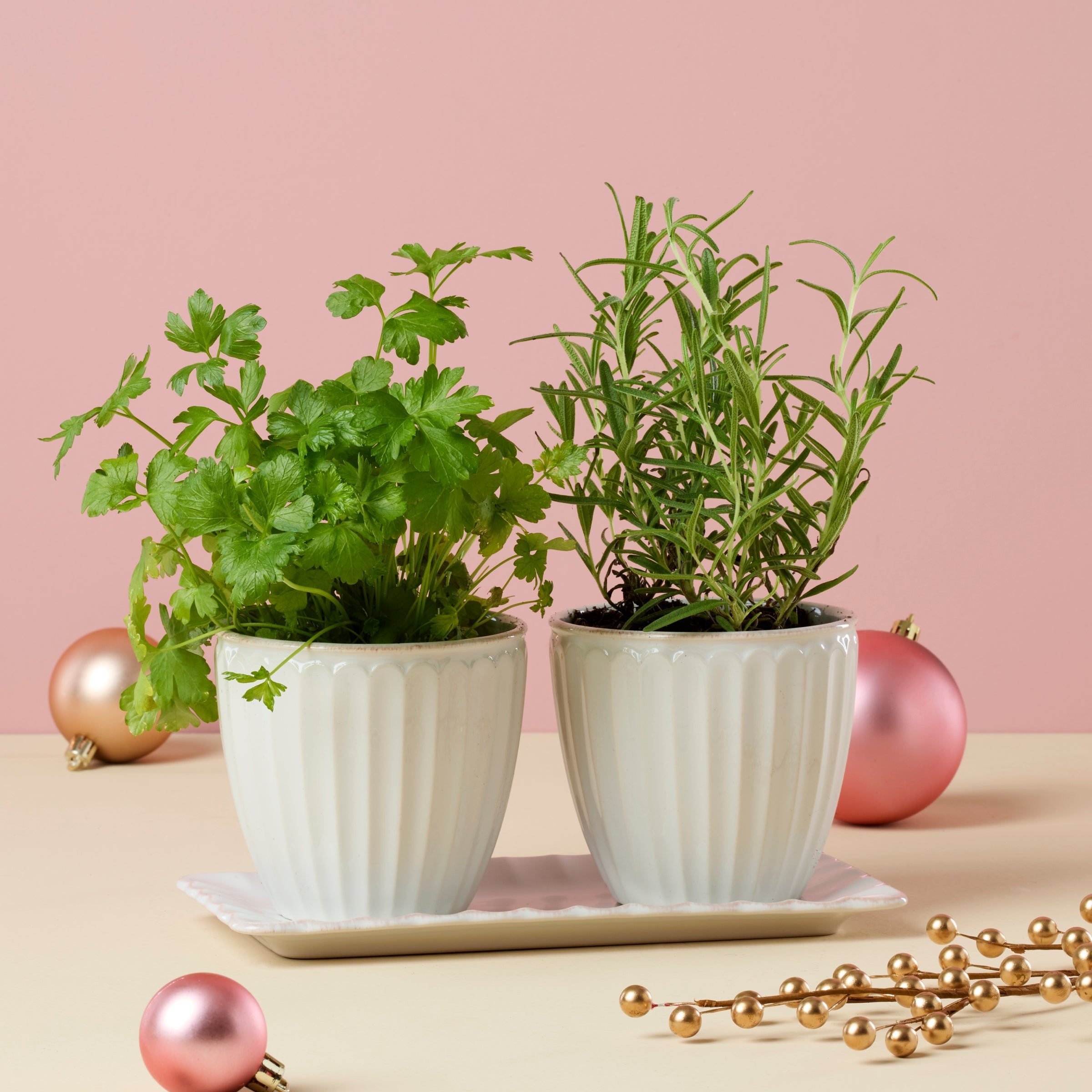 French Perle Scallop 3 Piece Herb Pot Set - Image 4