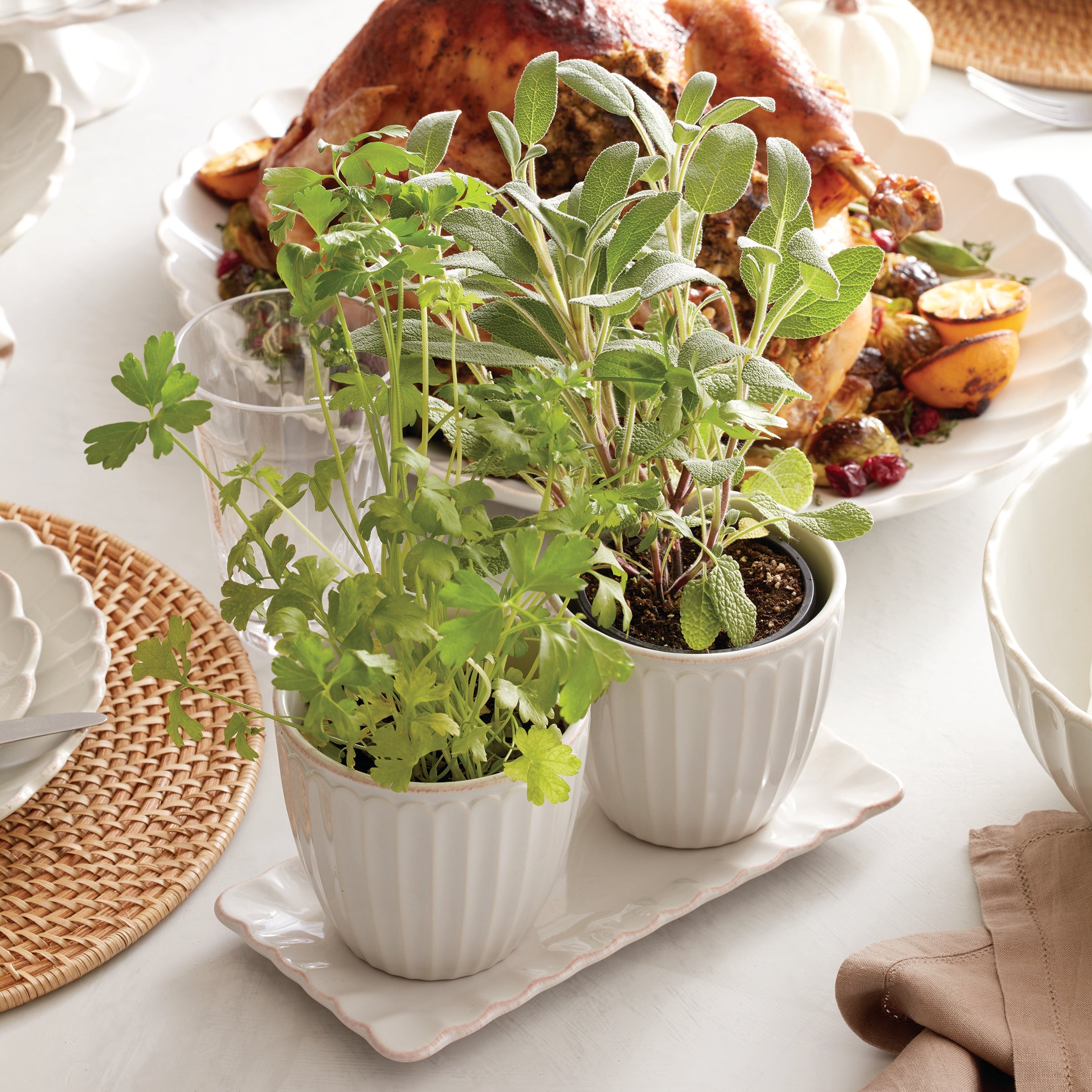 French Perle Scallop 3 Piece Herb Pot Set - Image 5