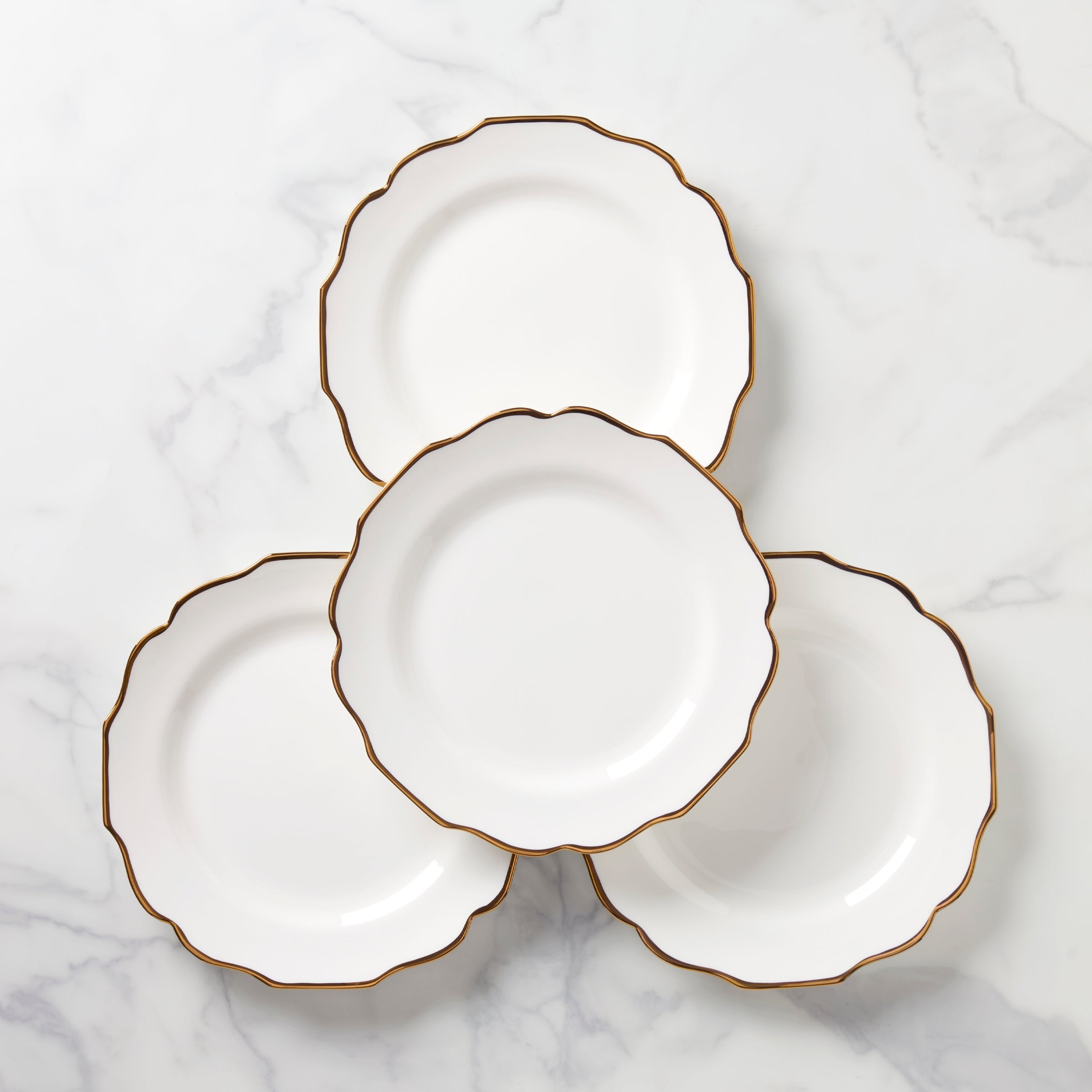 Contempo Luxe Dinner Plates   Set of 4