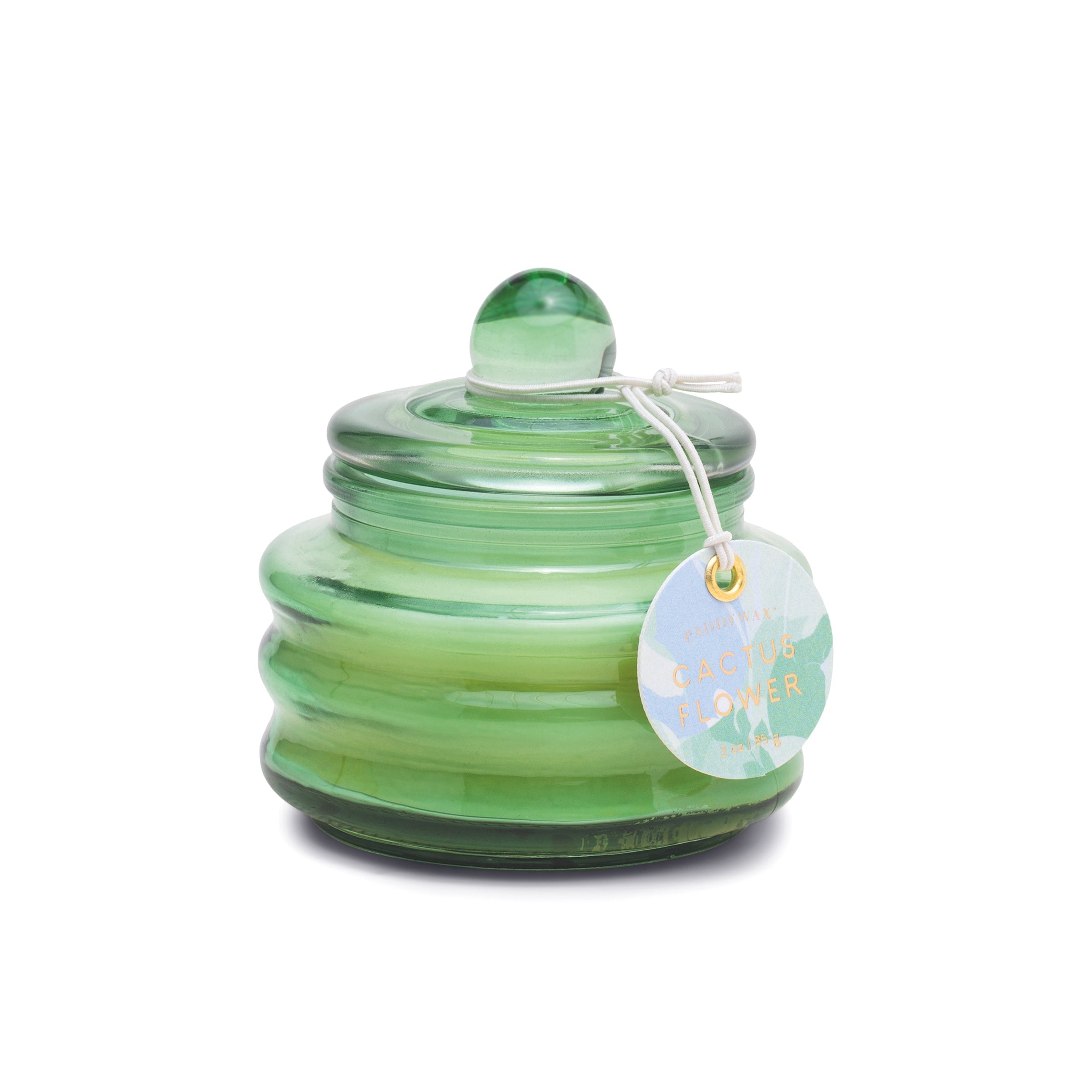 Beam 3 oz Soy Wax Candle, Cactus Flower